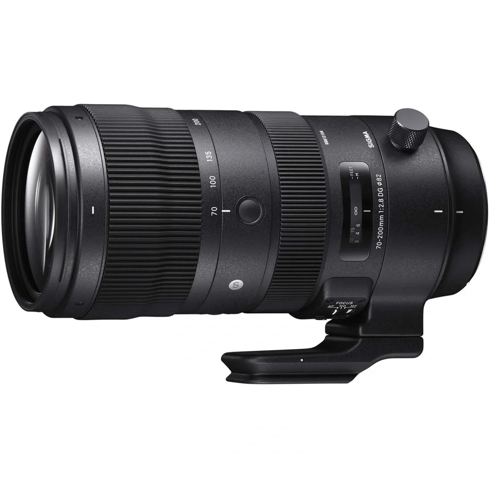 Canon 90D & Canon 70-200 F2.8 lens